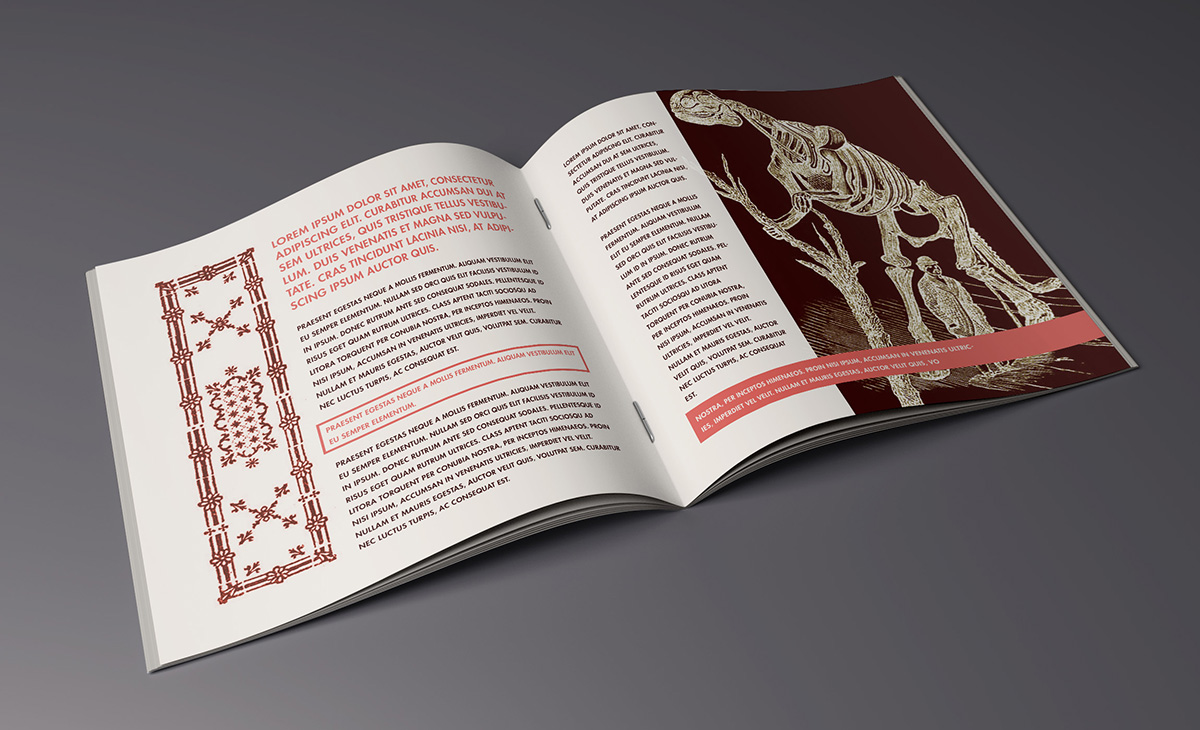 正方形画册手册设计展示样机素材brochure mockup
