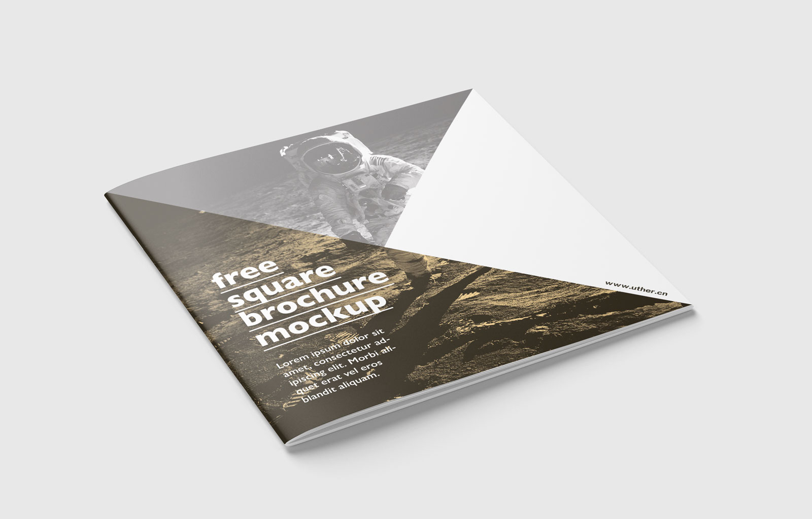 简洁大气正方形画册手册设计展示PSD样机素材brochure mockup .psd素材
