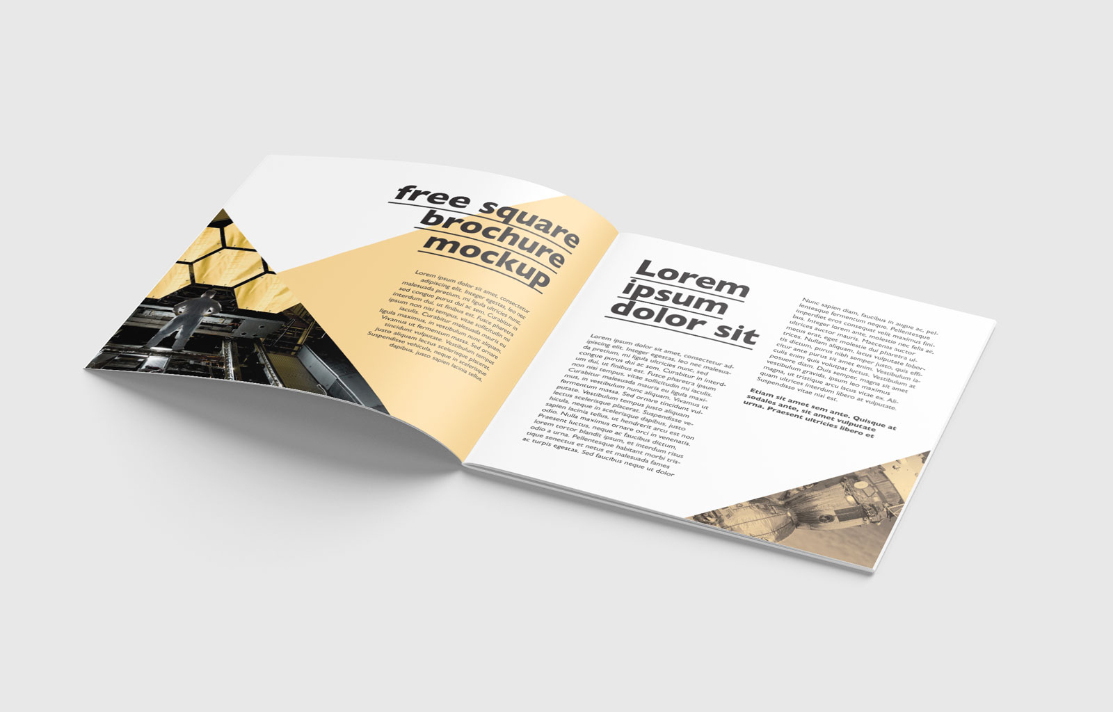 简洁大气正方形画册手册设计展示PSD样机素材brochure mockup .psd素材