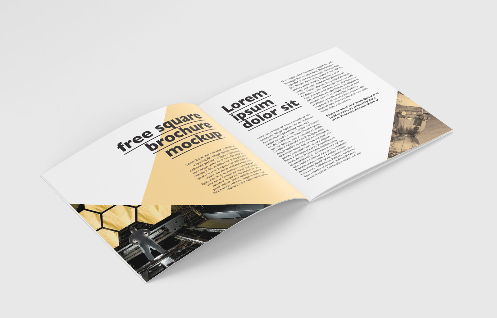 简洁大气正方形画册手册设计展示PSD样机素材brochure mockup