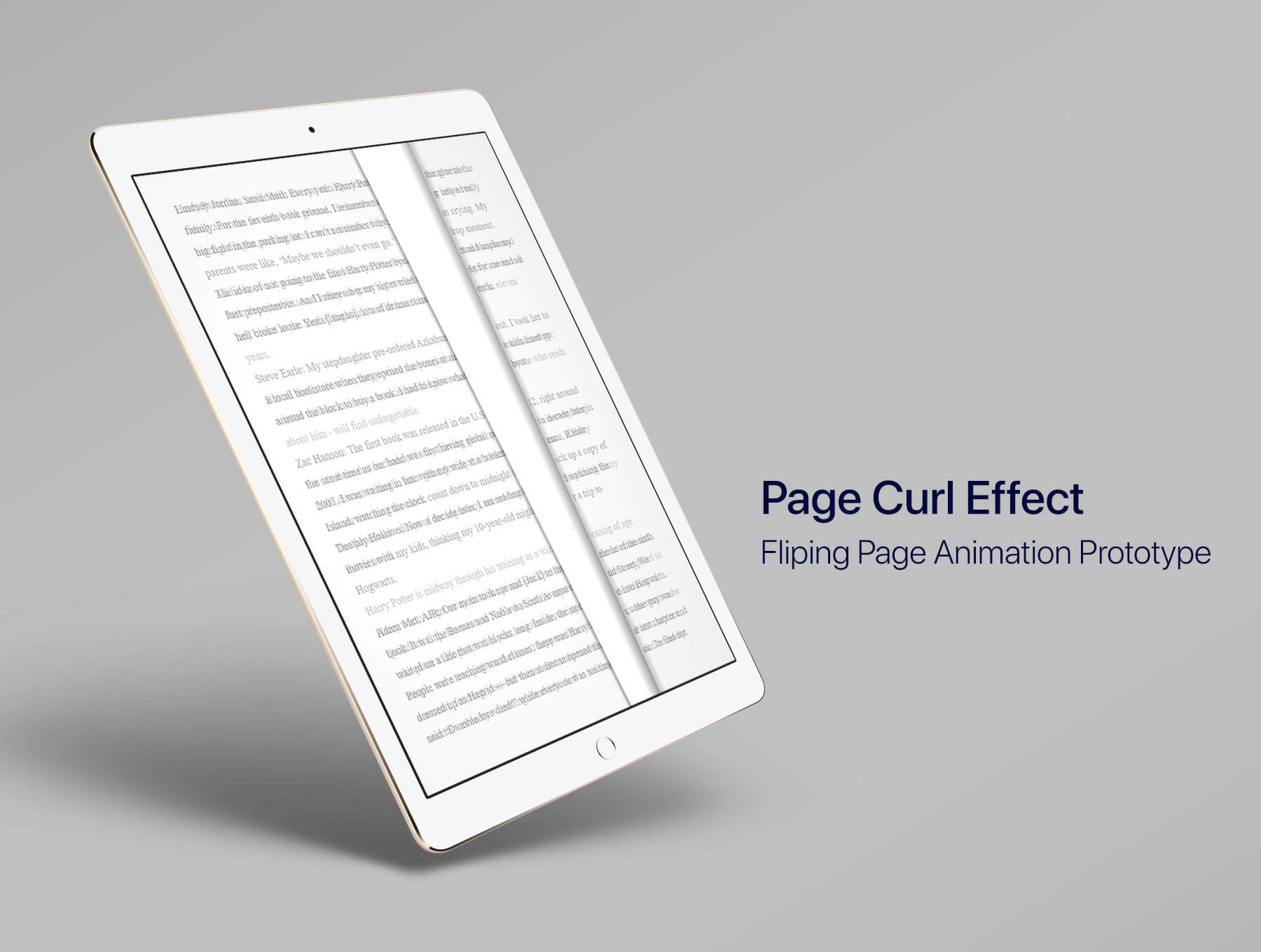 电子书eBook应用程序APP UI界面设计 .xd素材