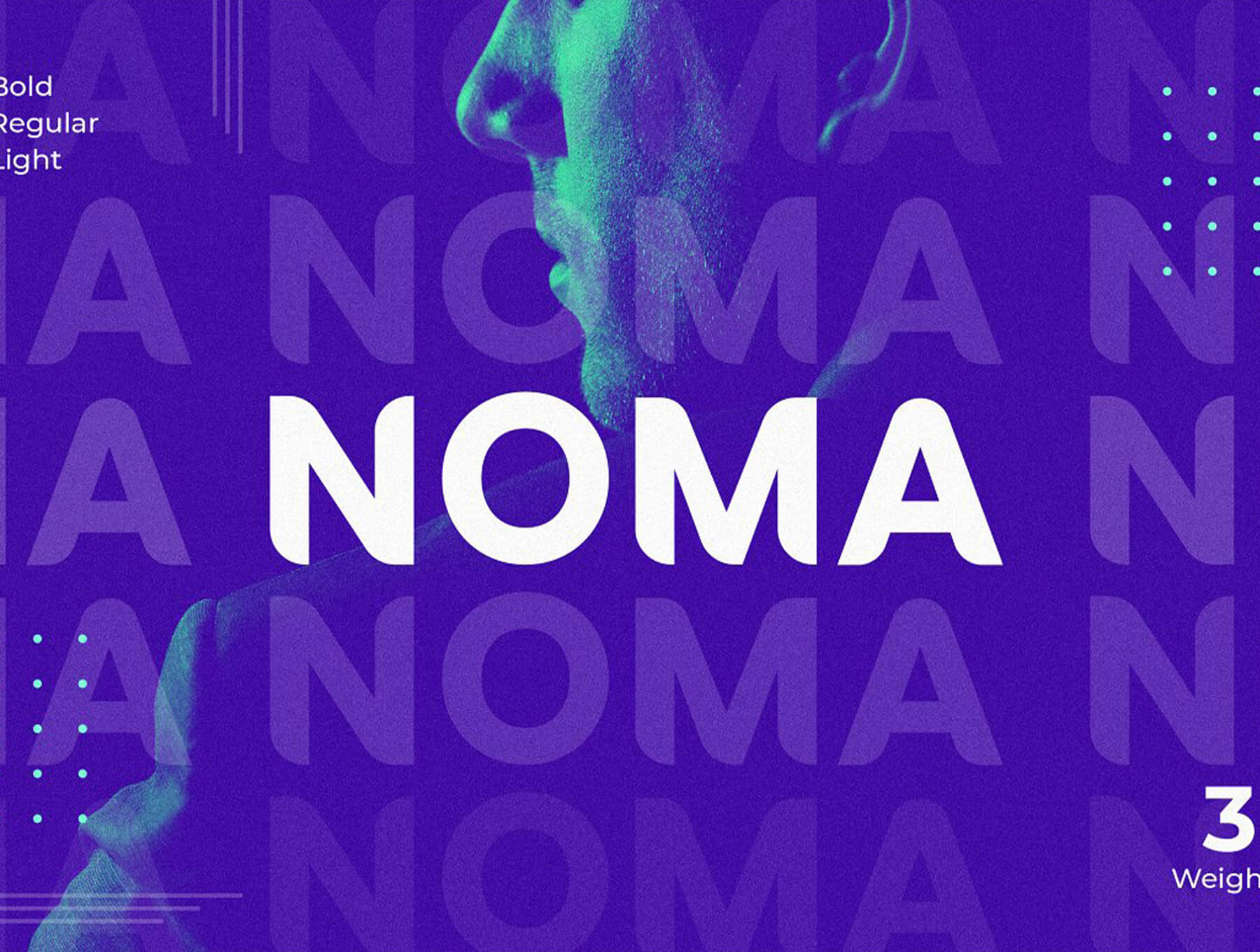 大胆活泼的无衬线字体：NOMA Sans Serif Font