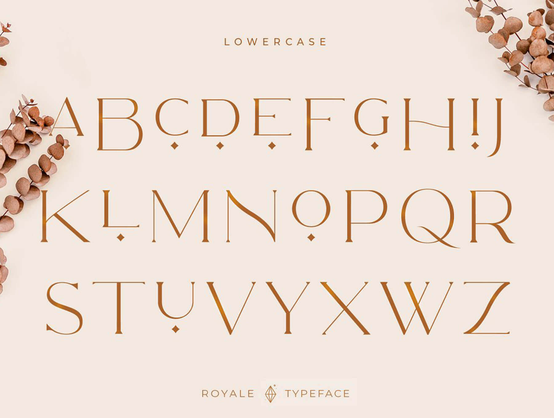 简约现代的优雅字体：Royale Luxurious