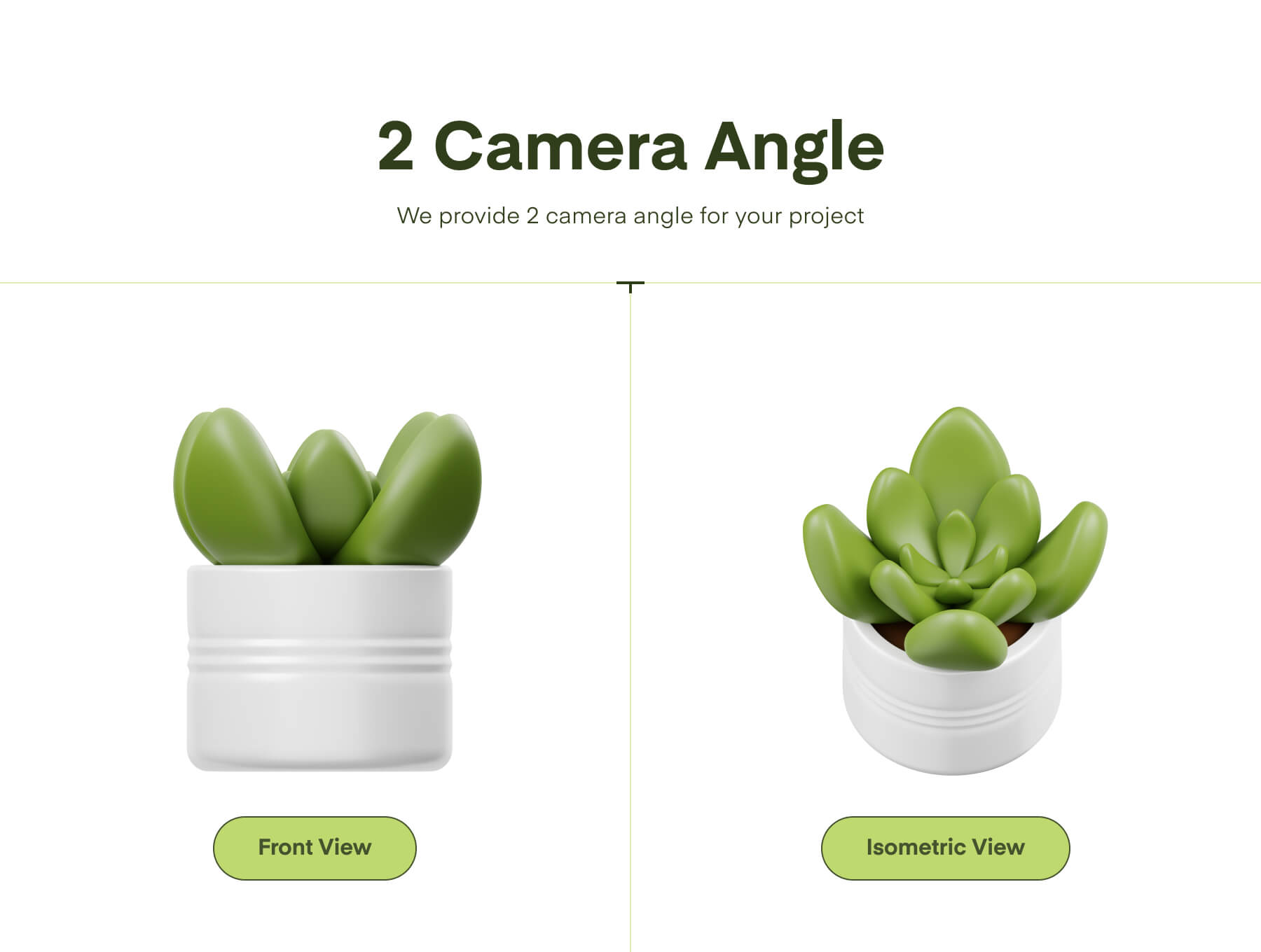 5个多角度绿色植物绿植花卉盆栽3D图标icon