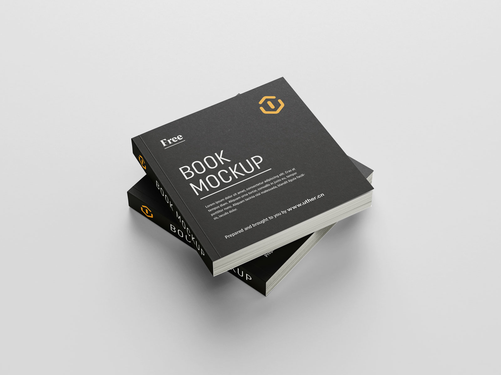 简约大气平装方形书籍封面书脊展示设计提案贴图PSD样机模版book mockup