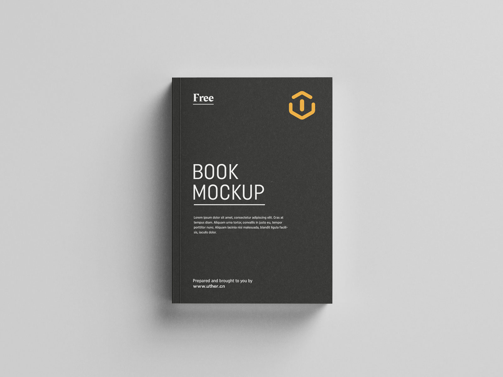 简约大气平装书籍设计封面展示提案贴图PSD样机模版book mockup