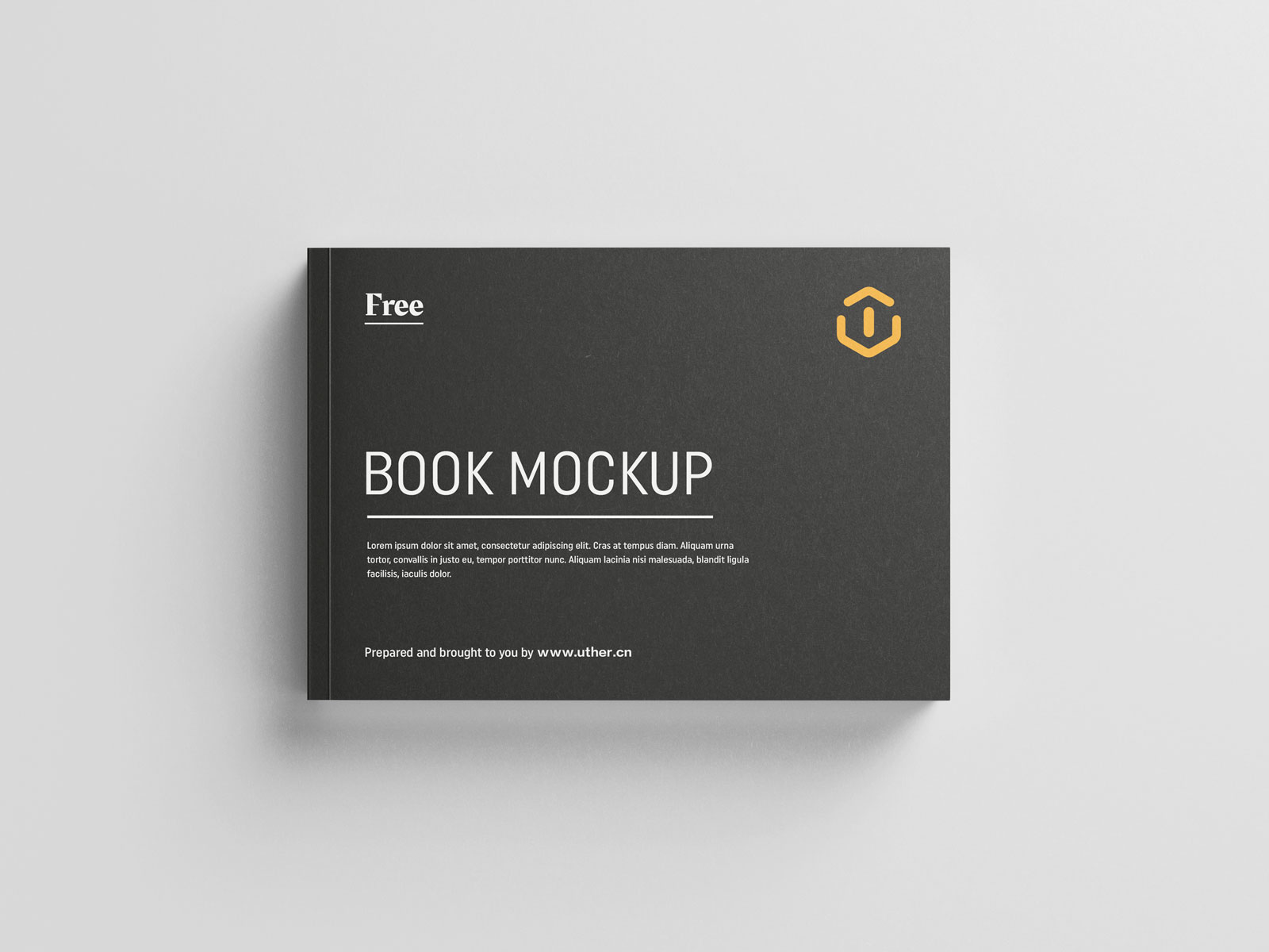 简约大气平装横向书籍设计封面展示提案贴图PSD样机模版book mockup