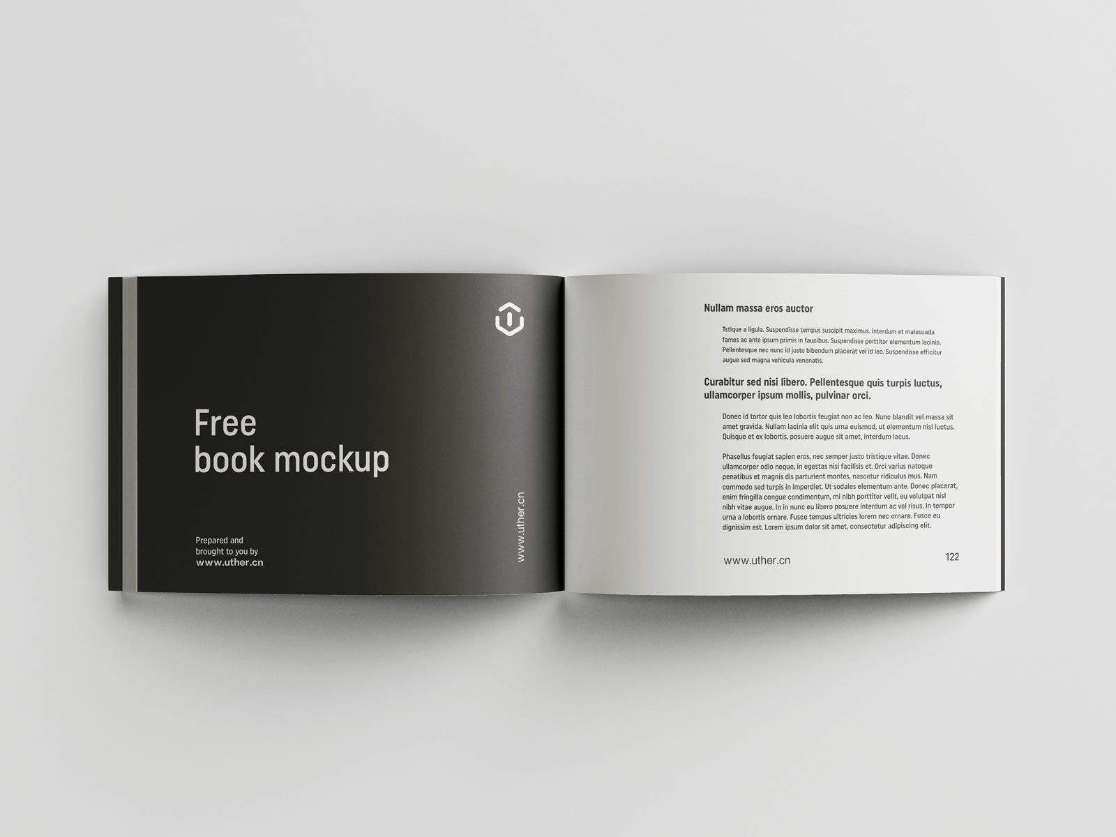 简约大气平装横向书籍设计内页展示提案贴图PSD样机模版book mockup