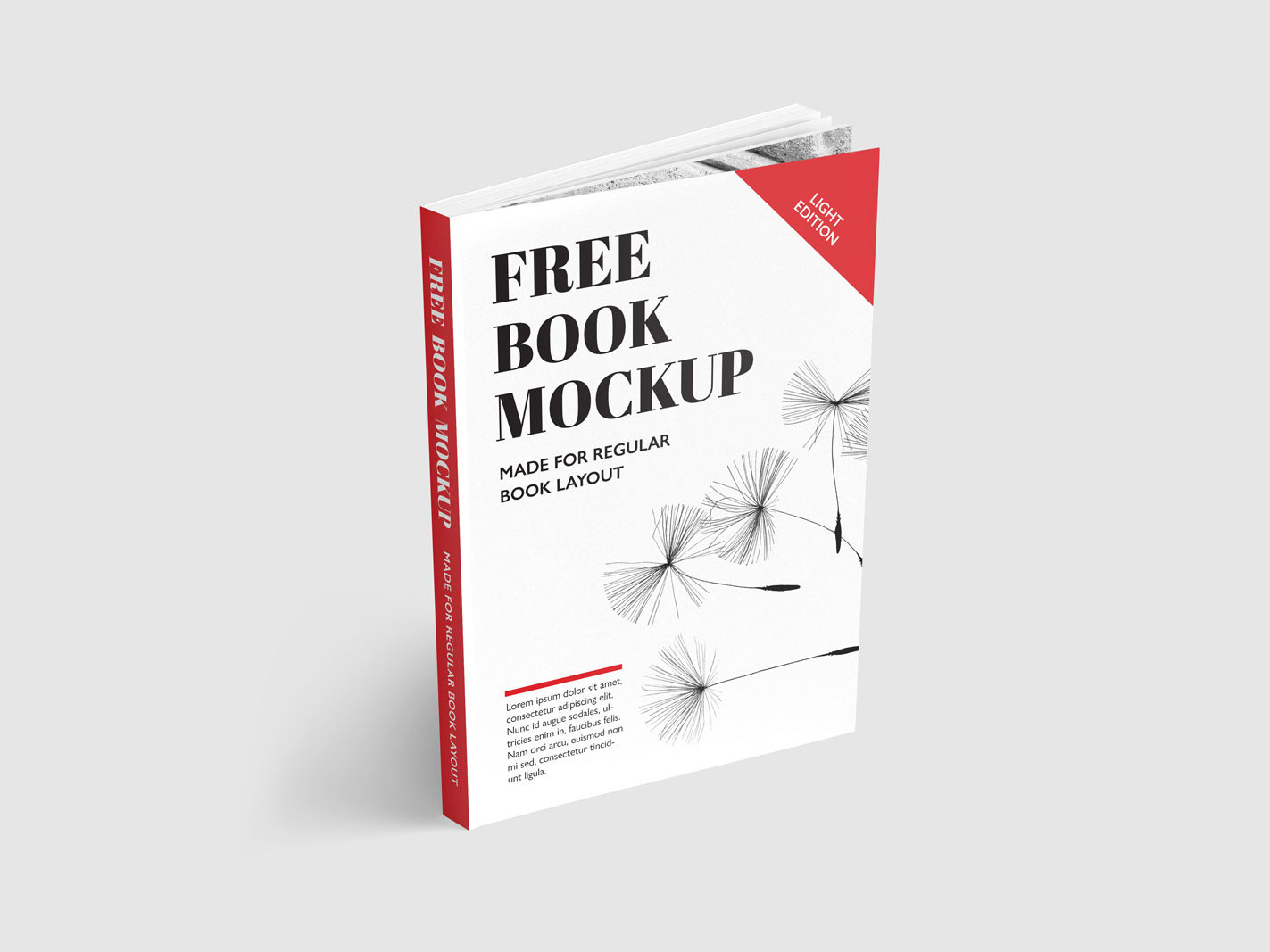 简约大气书籍封面模型PSD贴图模板Free book mockup