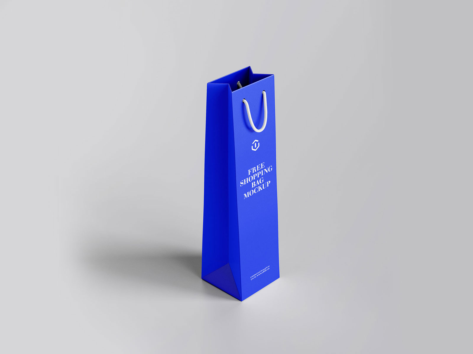 时尚简洁蓝色红酒包装袋手提袋礼品袋PSD样机模型wine bag mockup