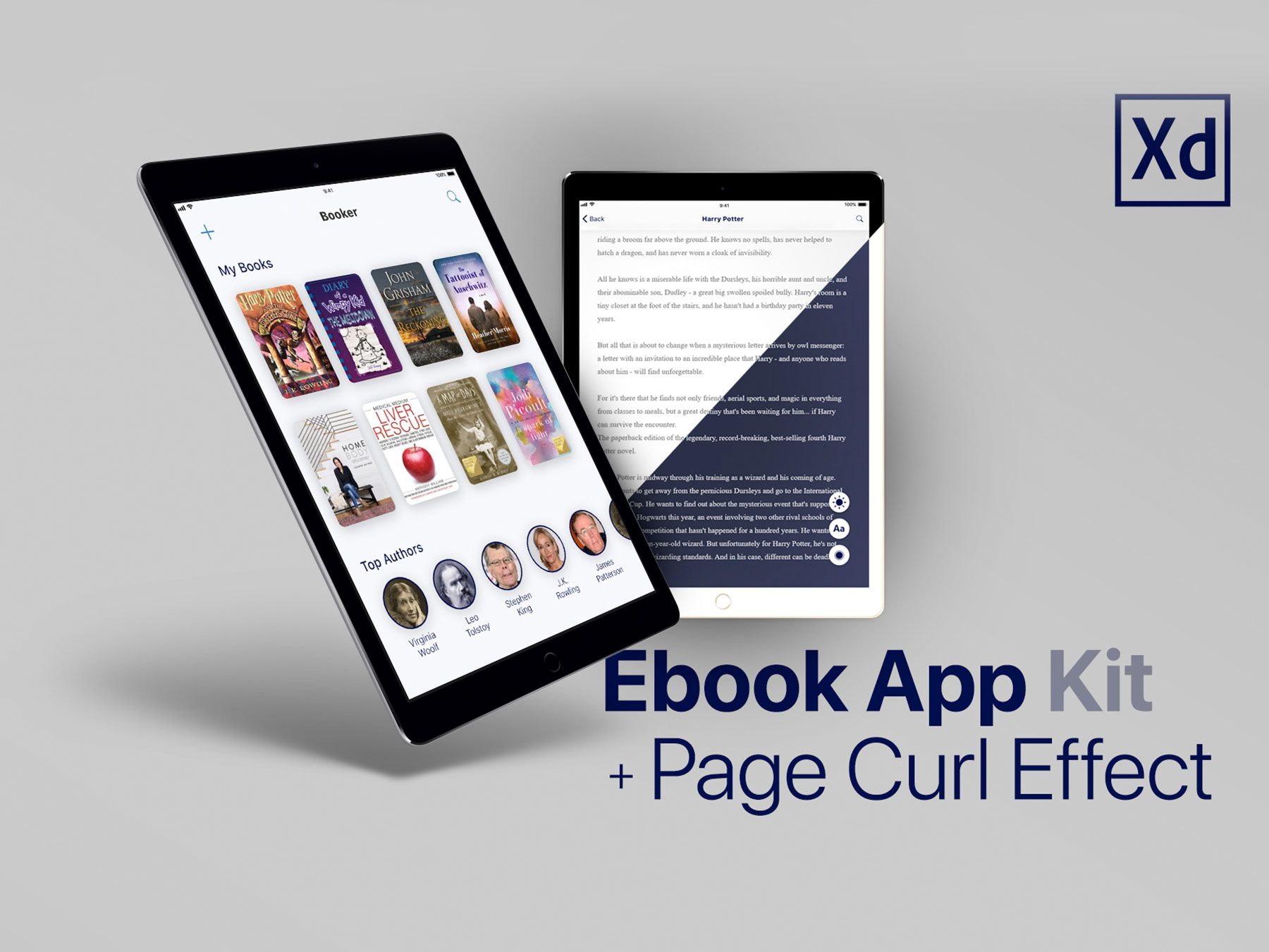 电子书eBook应用程序APP UI界面设计 .xd素材
