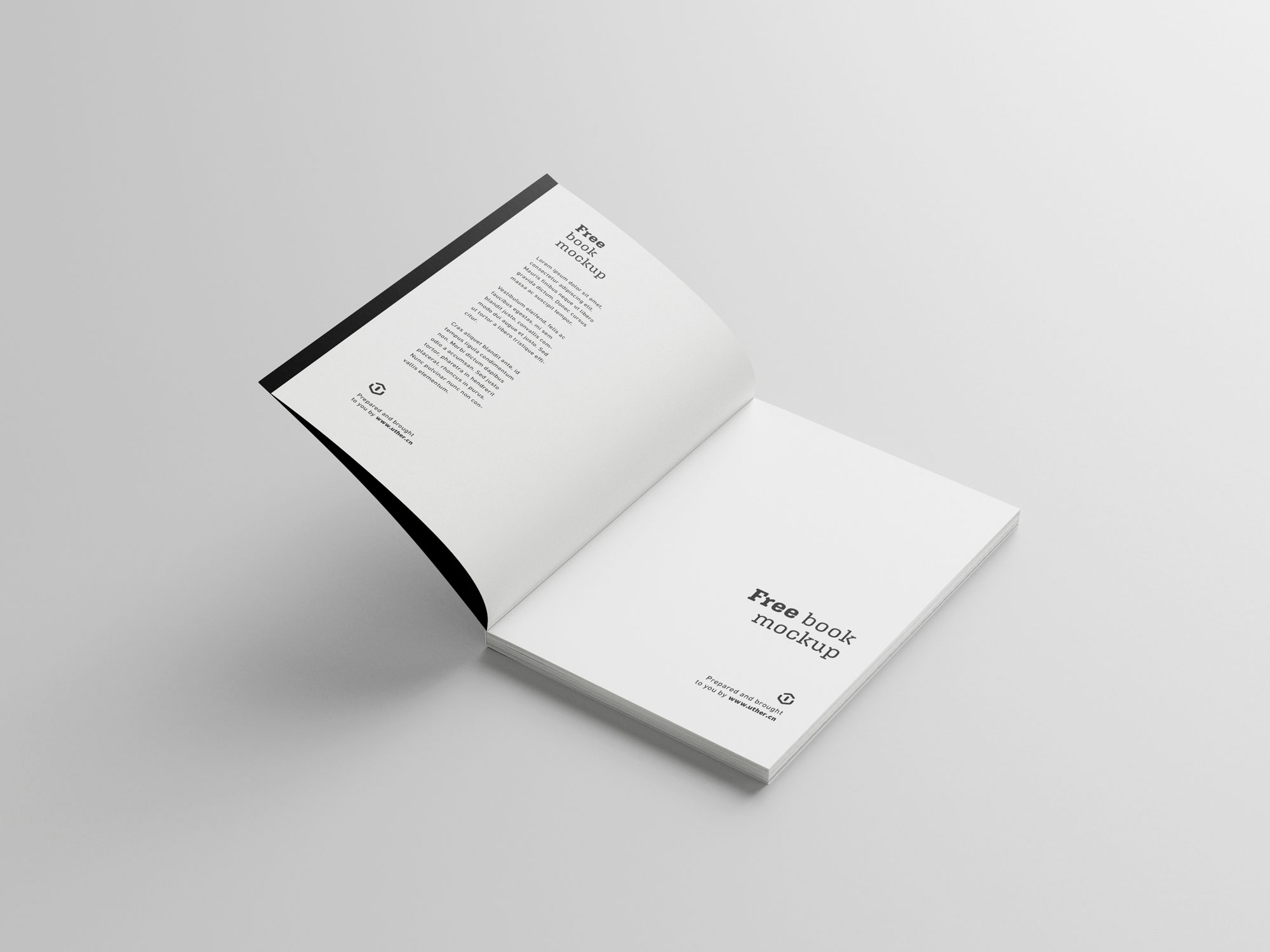 简约大气平装书籍设计扉页展示贴图PSD样机模型book mockup