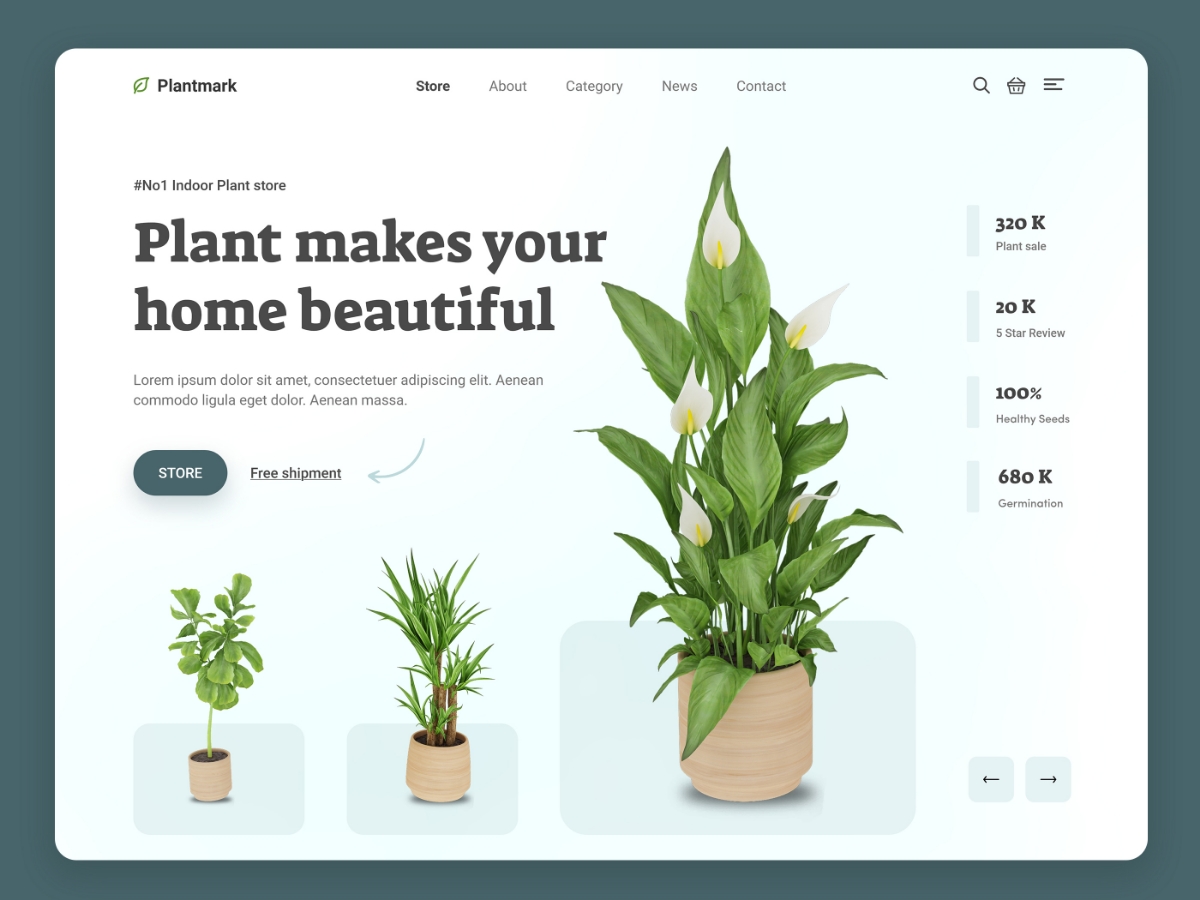 花卉植物网站页头WEB UI界面设计 .xd素材
