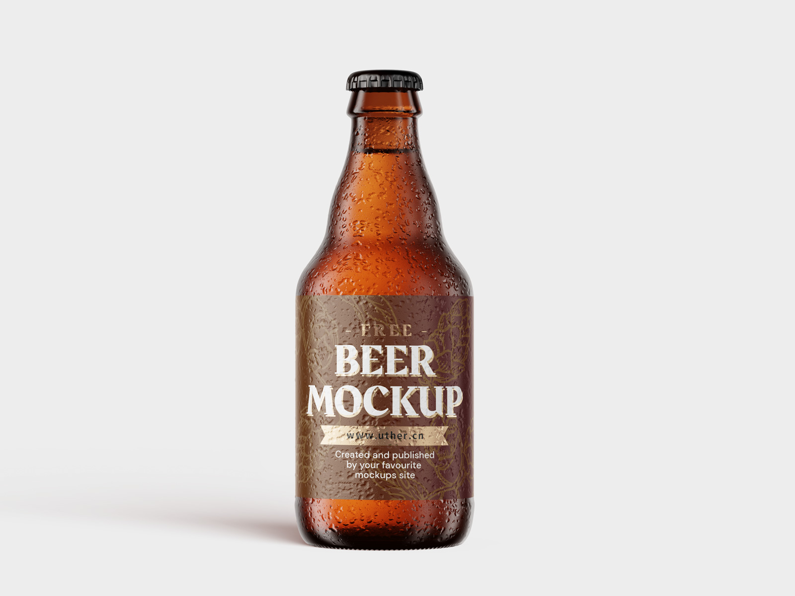 带水珠的正面棕色啤酒瓶样机模型Beer Mockup .psd素材